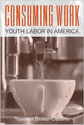 Cover image for Consuming Work: Youth Labor in America