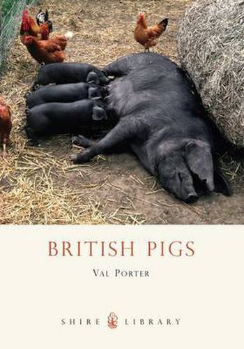 Cover image for British Pigs