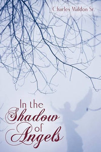 Cover image for In the Shadow of Angels