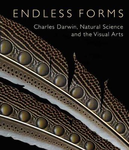 Cover image for Endless Forms: Charles Darwin, Natural Science, and the Visual Arts