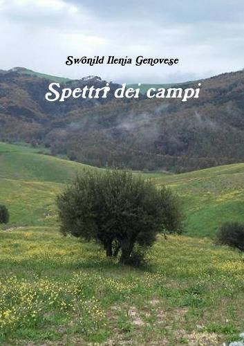 Cover image for Spettri dei campi