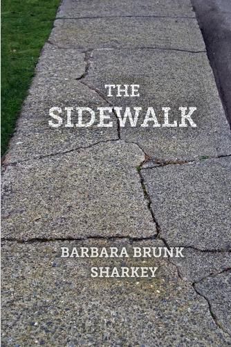 Cover image for The Sidewalk