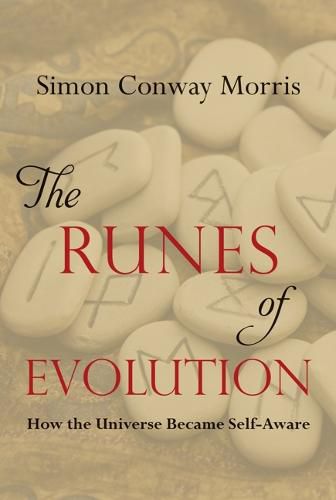 Cover image for The Runes of Evolution: How the Universe Became Self-Aware