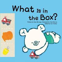 Cover image for What is in the Box?: Colours