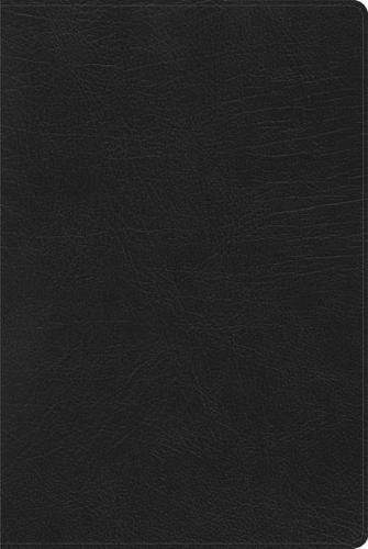 Cover image for RVR 1960 Biblia de Estudio Arco Iris, negro imitacion piel c