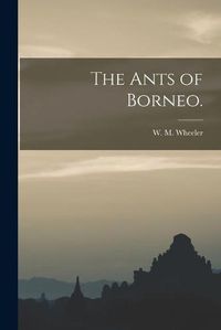 Cover image for The Ants of Borneo.