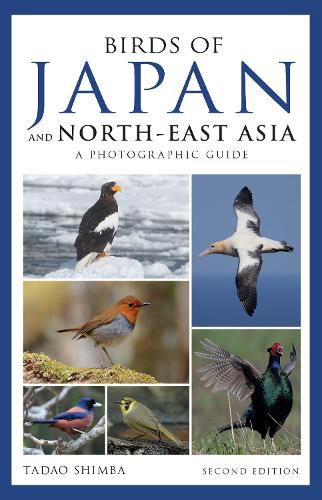 Cover image for Photographic Guide to the Birds of Japan and North-east Asia