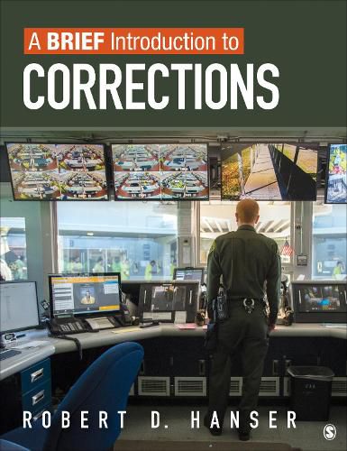 Cover image for A Brief Introduction to Corrections