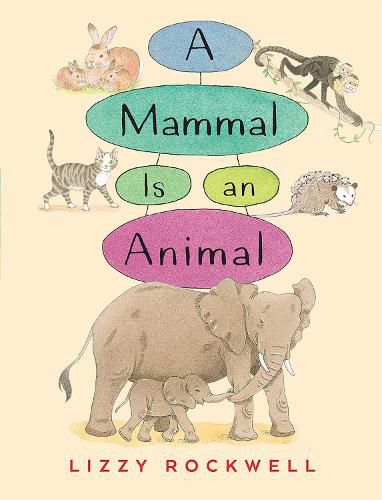 Cover image for A Mammal is an Animal