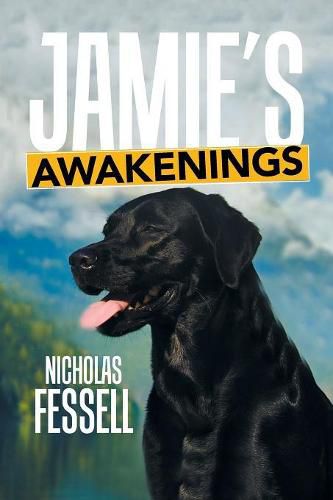 Cover image for Jamie's Awakenings