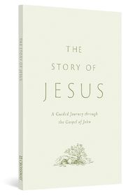 Cover image for The Story of Jesus