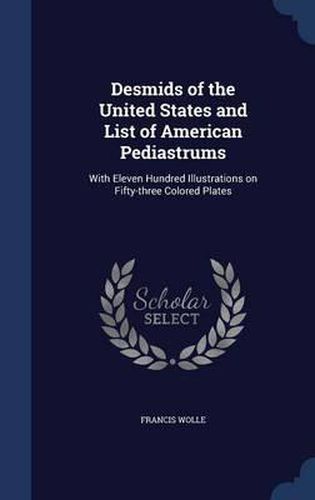 Cover image for Desmids of the United States and List of American Pediastrums: With Eleven Hundred Illustrations on Fifty-Three Colored Plates