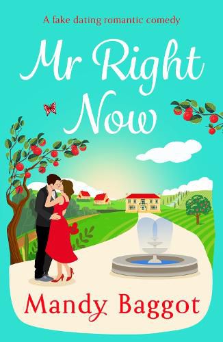 Cover image for Mr Right Now