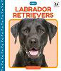 Cover image for Labrador Retrievers