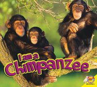 Cover image for I Am a Chimpanzee