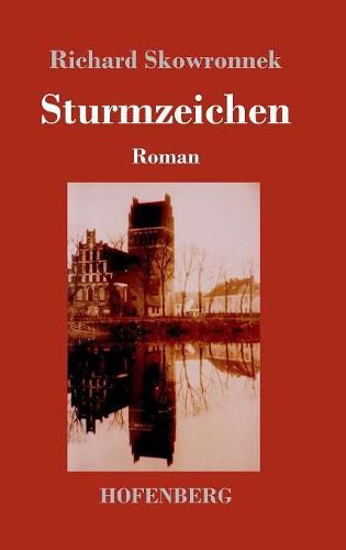 Cover image for Sturmzeichen: Roman