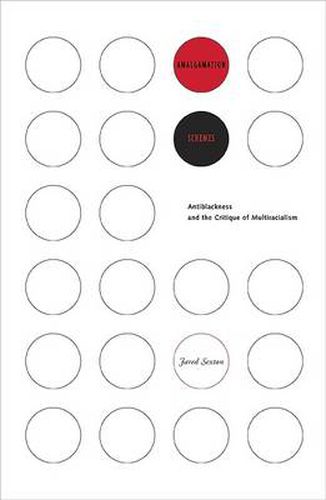 Cover image for Amalgamation Schemes: Antiblackness and the Critique of Multiracialism