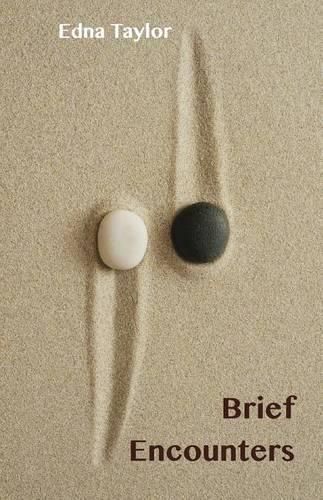 Cover image for Brief Encounters