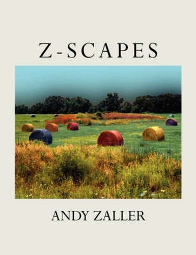 Cover image for Z-Scapes