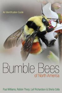 Cover image for Bumble Bees of North America: An Identification Guide