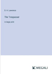 Cover image for The Trespasser