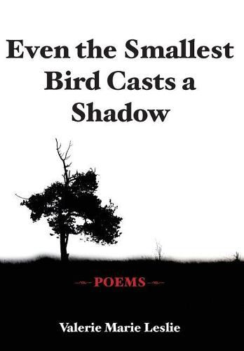 Cover image for Even the Smallest Bird Casts a Shadow: Poems