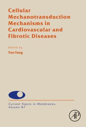 Cover image for Cellular Mechanotransduction Mechanisms in Cardiovascular and Fibrotic Diseases