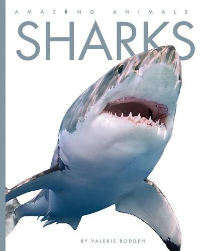 Cover image for Sharks