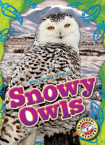 Cover image for Snowy Owls