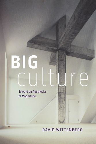 Cover image for Big Culture