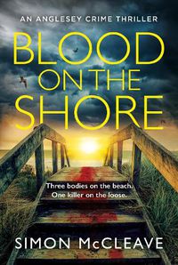 Cover image for Blood on the Shore