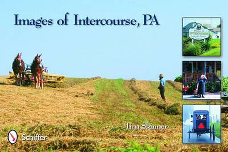 Cover image for Images of Intercourse