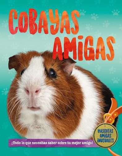 Cover image for Cuyos Amigos