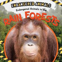 Cover image for Endangered Animals in the Rain Forest