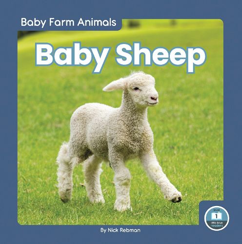 Cover image for Baby Sheep