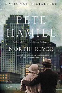 Cover image for North River: A Novel