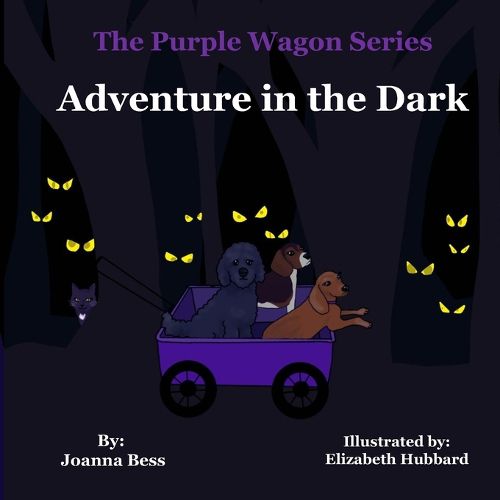 Cover image for Adventure in the Dark