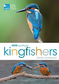 Cover image for RSPB Spotlight Kingfishers