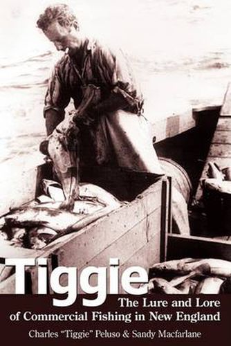 Cover image for Tiggie