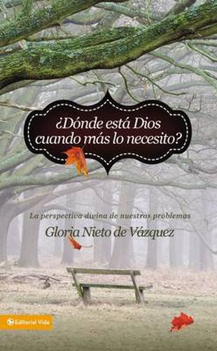 Cover image for ?Donde Esta Dios Cuando Mas Lo Necesito?: La Perspectiva Divina de Nuestros Problemas