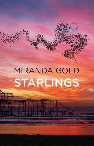 Cover image for Starlings