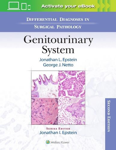 Cover image for Differential Diagnoses in Surgical Pathology: Genitourinary System