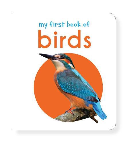 Cover image for My First Book of Birds