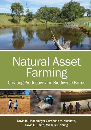Cover image for Natural Asset Farming: Creating Productive and Biodiverse Farms