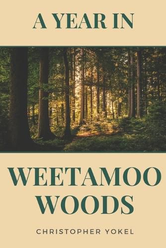 Cover image for A Year in Weetamoo Woods