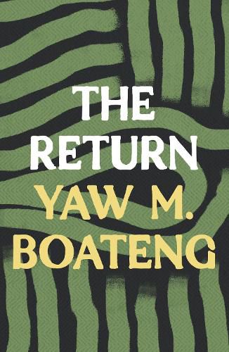 Cover image for The Return