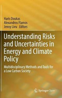 Cover image for Understanding Risks and Uncertainties in Energy and Climate Policy: Multidisciplinary Methods and Tools for a Low Carbon Society