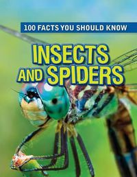 Cover image for Insects and Spiders