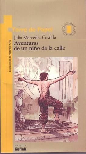 Cover image for Aventuras de Un Nino de la Calle