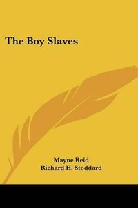 Cover image for The Boy Slaves